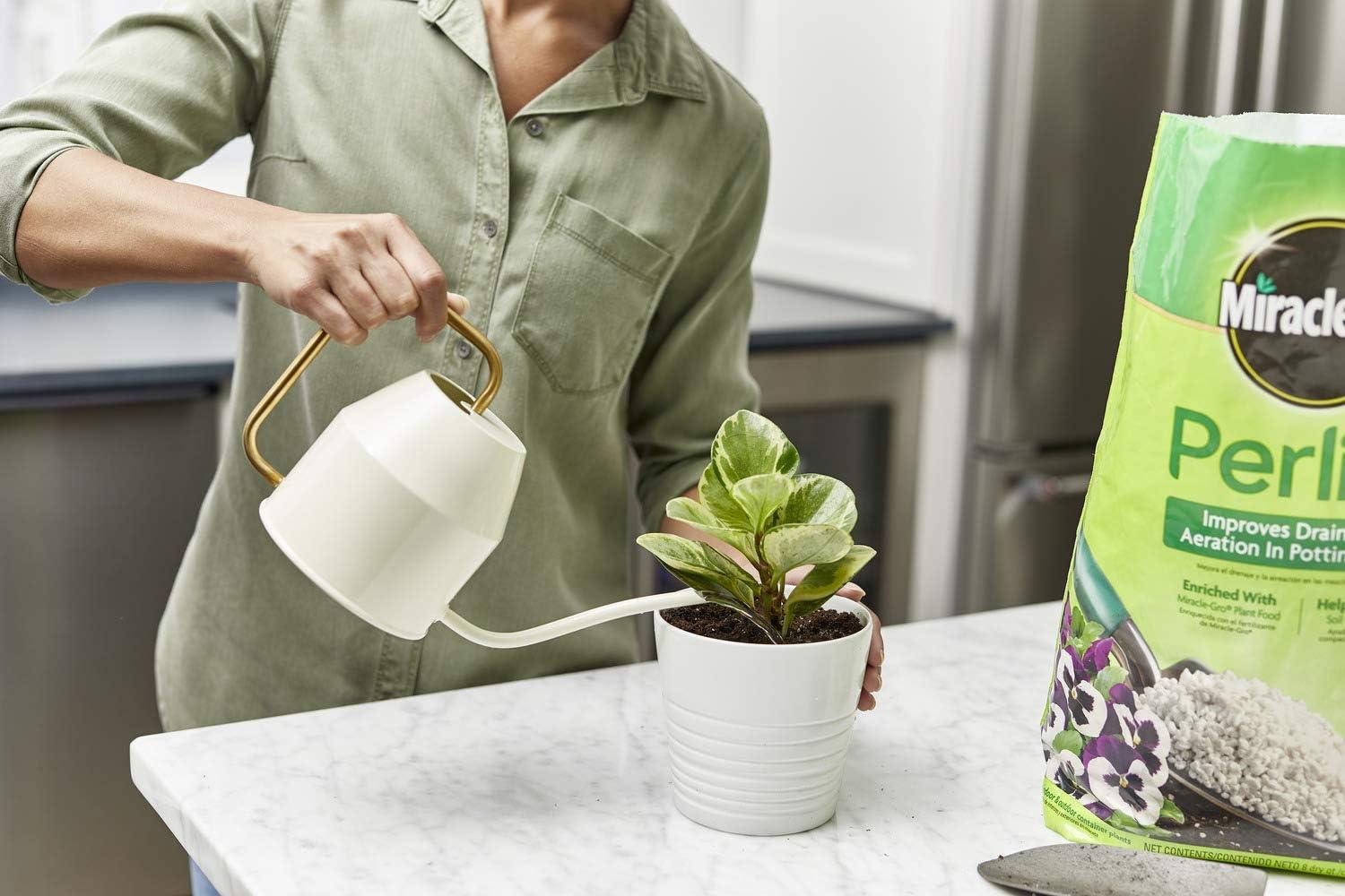 image:imageMiracleGro Perlite Enriched with Plant Food Improves Drainage and Aeration in Potting Soil Mixes For Container Plants 8 qt 2Pack2 Pack