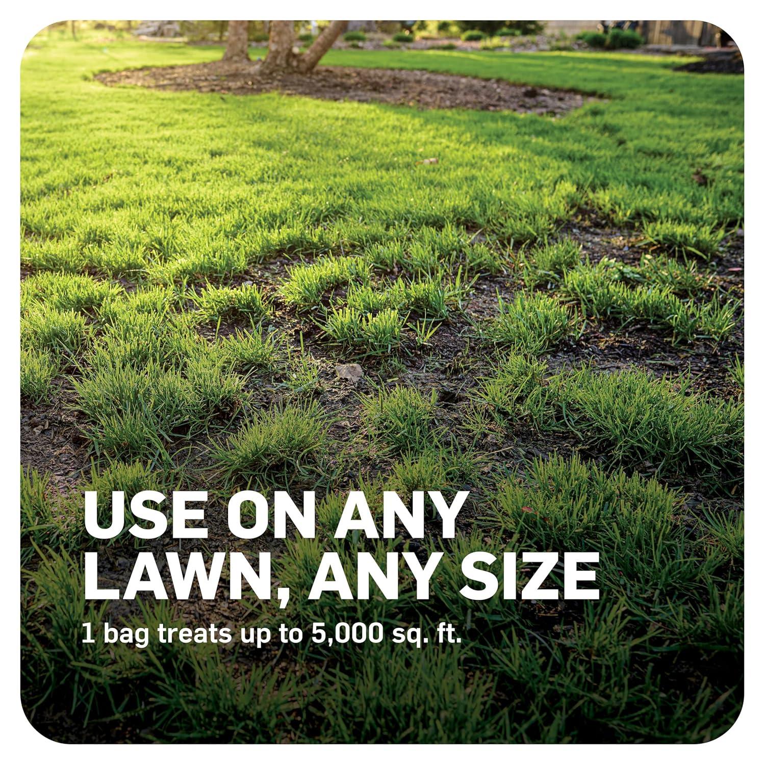 image:imageScotts DiseaseEx Lawn Fungicide for Lawn Care Controls and Prevents Brown Patch Pythium Blight and More as Listed Treats Up to 5000 sq ft 10 lbs5 000 sq ft