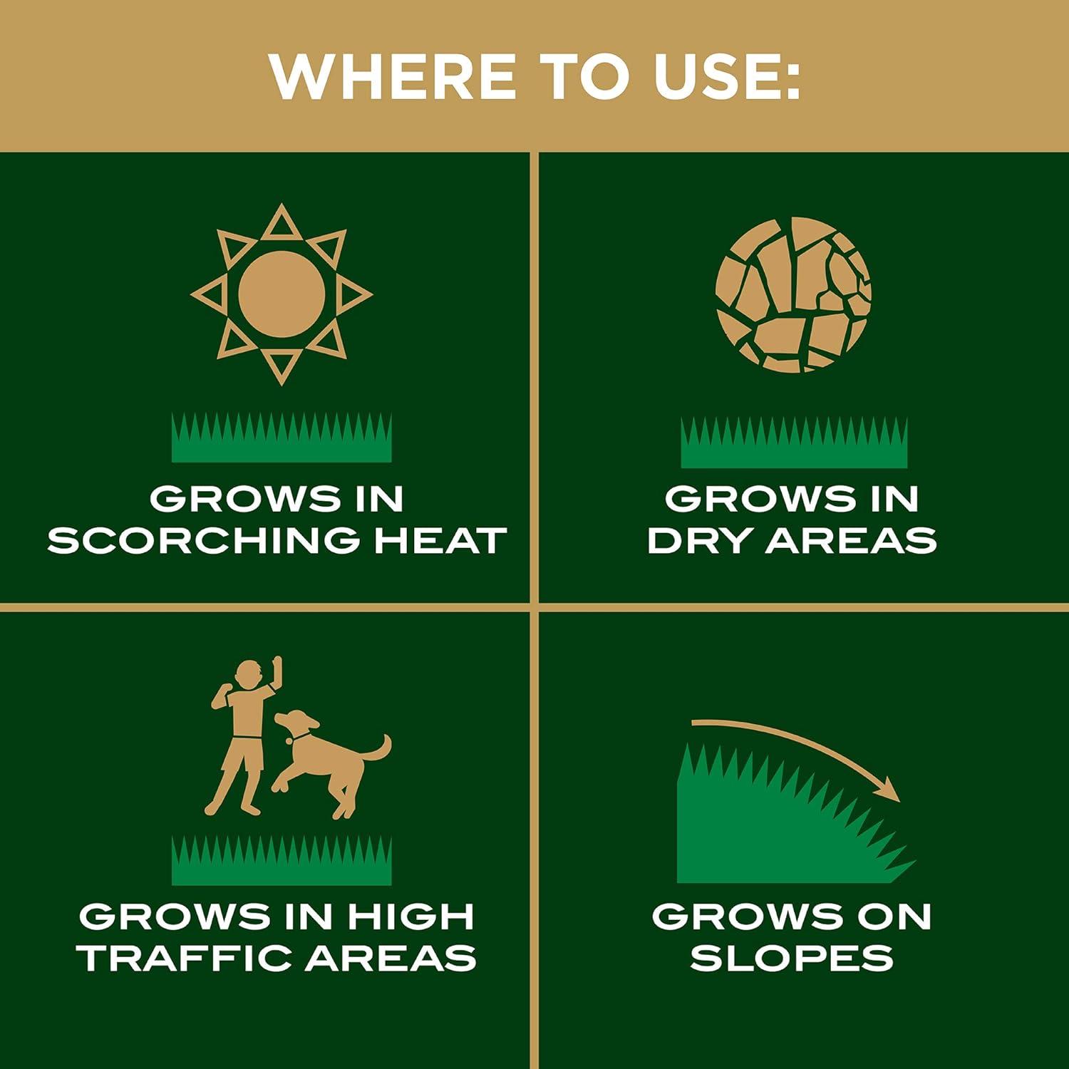 image:imageScotts EZ Seed Patch amp Repair Tall Fescue Lawns Combination Mulch Grass Seed and Fertilizer for Bare Spots and Repair Grows Anywhere 375 lb Brown375 lb