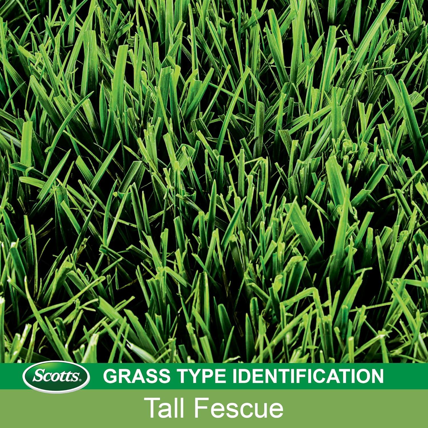 image:imageScotts EZ Seed Patch amp Repair Tall Fescue Lawns Combination Mulch Grass Seed and Fertilizer for Bare Spots and Repair Grows Anywhere 375 lb Brown375 lb