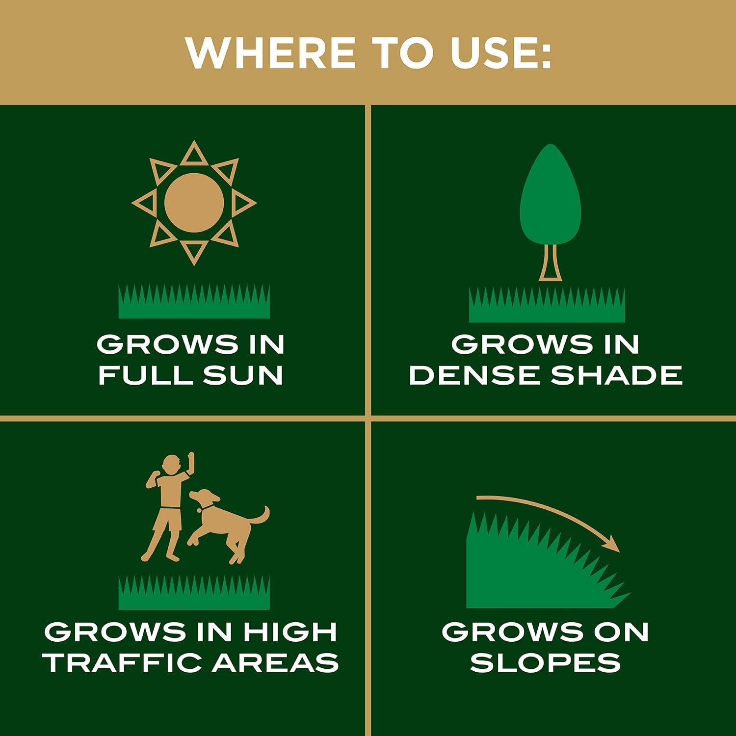 image:imageScotts EZ Seed Patch amp Repair Tall Fescue Lawns Combination Mulch Grass Seed and Fertilizer for Bare Spots and Repair Grows Anywhere 375 lb Brown375 lb