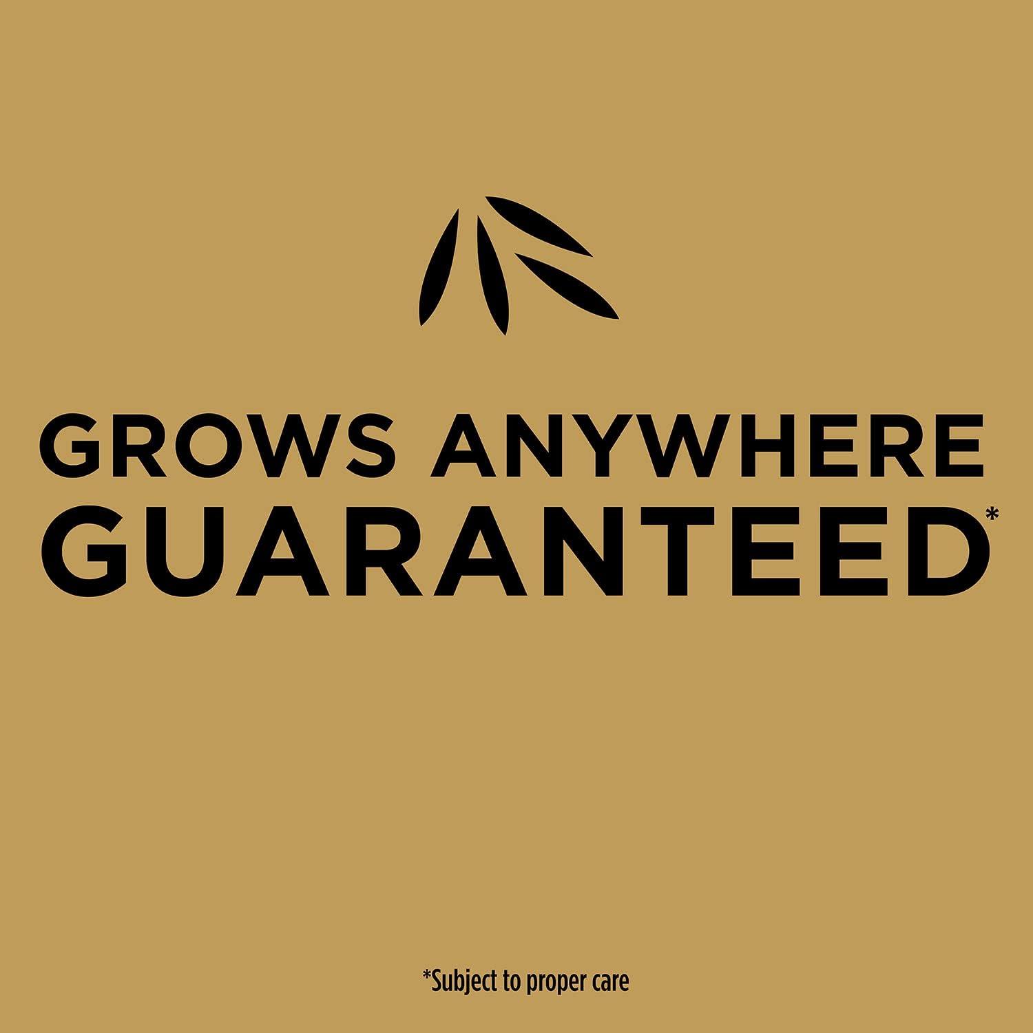 image:imageScotts EZ Seed Patch amp Repair Tall Fescue Lawns Combination Mulch Grass Seed and Fertilizer for Bare Spots and Repair Grows Anywhere 375 lb Brown375 lb