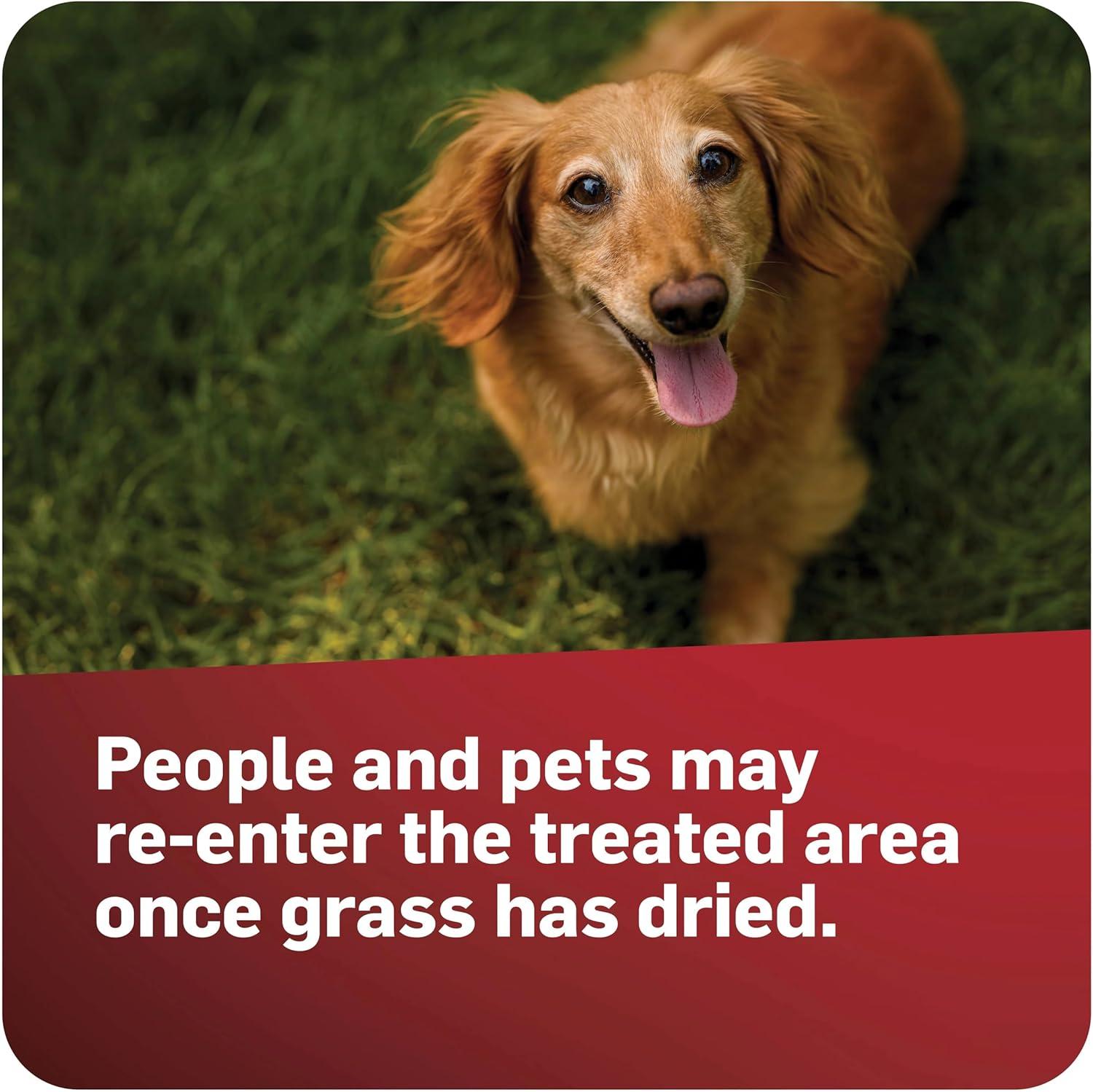image:imageScotts GrubEx1 Season Long Grub Killer for Lawns Protects Lawns Up to 4 Months 5000 sq ft 1435 lbs10 000 sq ft