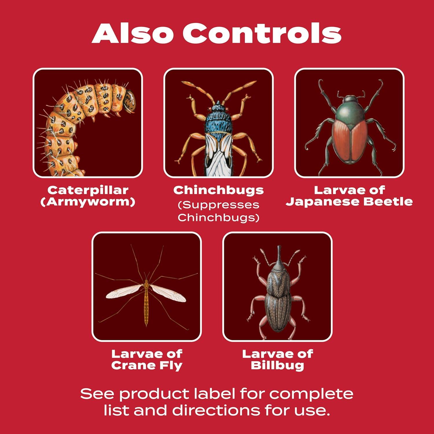 image:imageScotts GrubEx1 Season Long Grub Killer for Lawns Protects Lawns Up to 4 Months 5000 sq ft 1435 lbs5 000 sq ft pack of 2