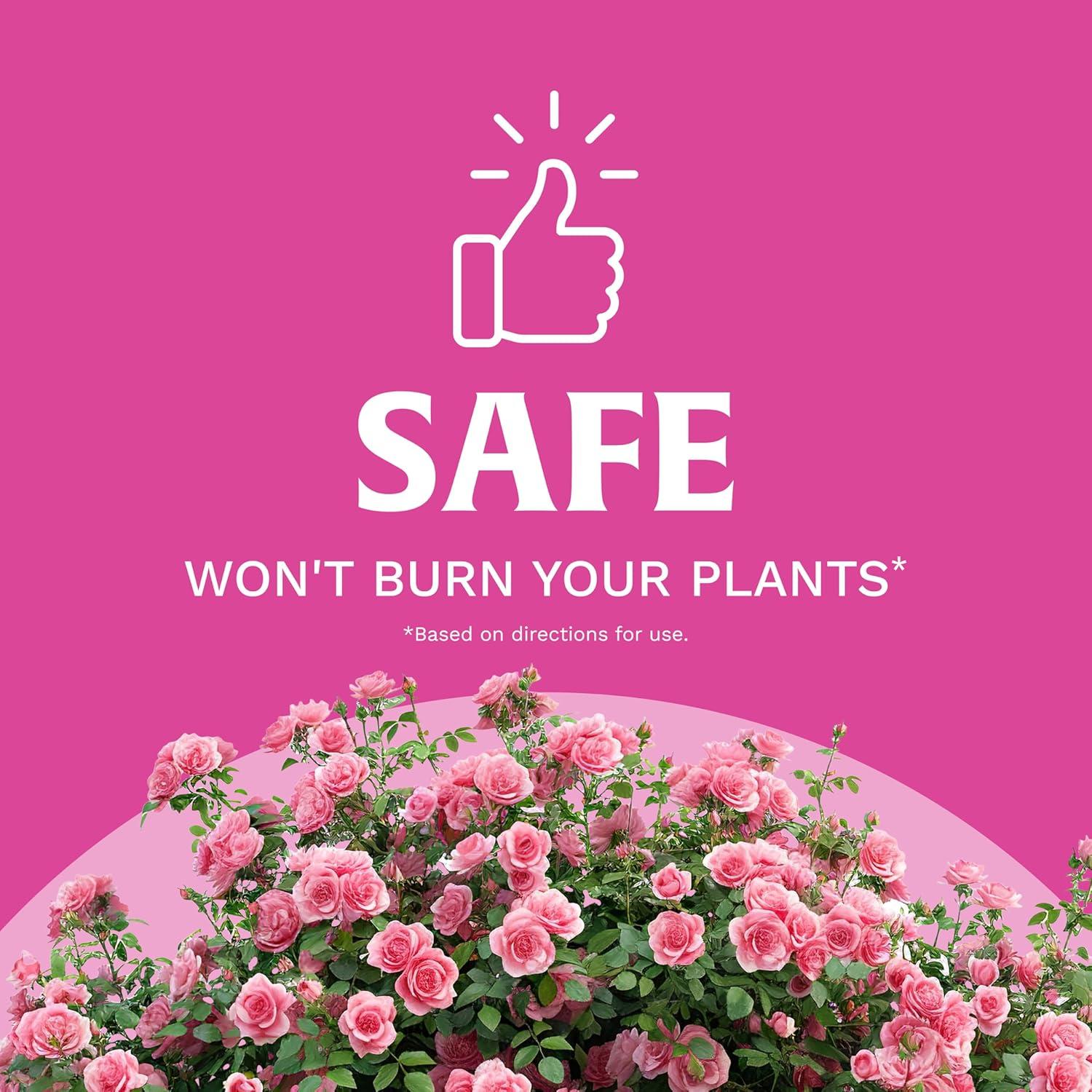image:imageScotts Rose amp Bloom Continuous Release Plant Food 3 lb3 pounds