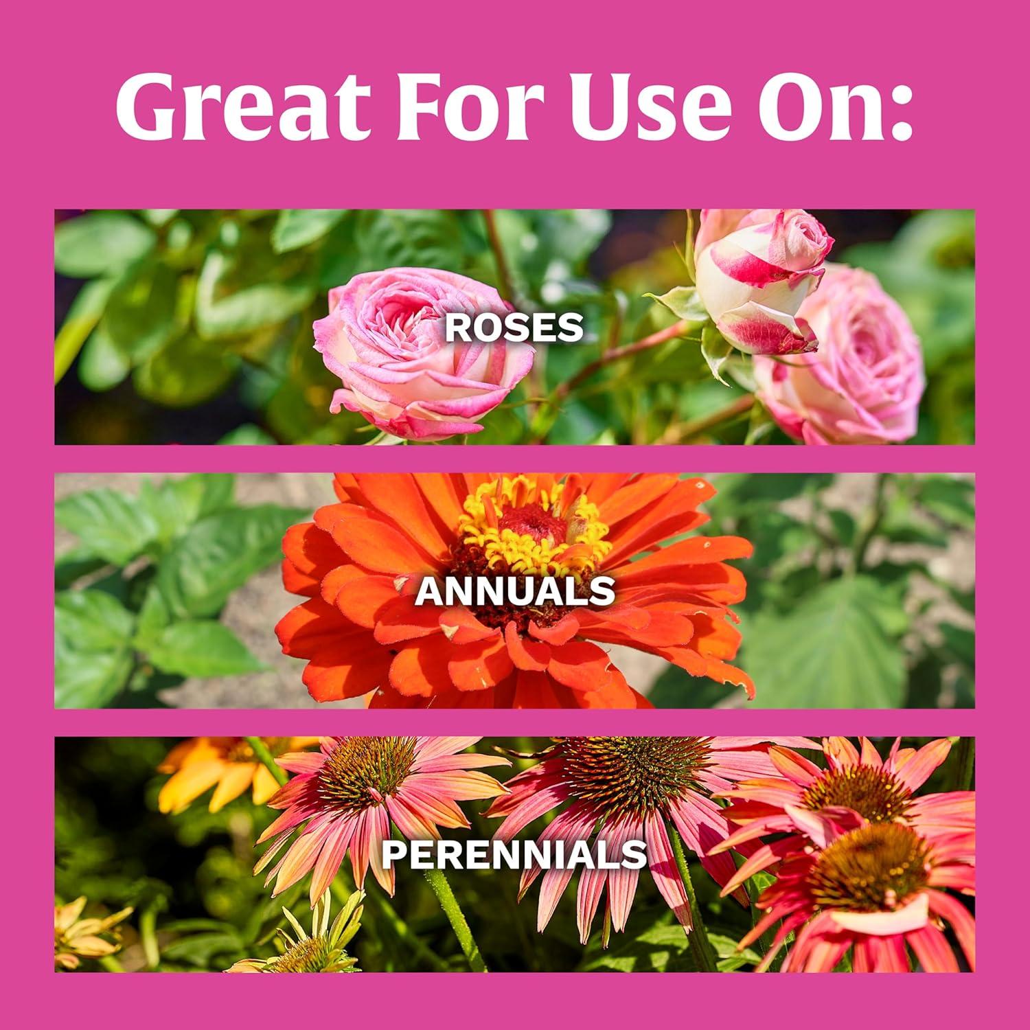 image:imageScotts Rose amp Bloom Continuous Release Plant Food 3 lb3 pounds
