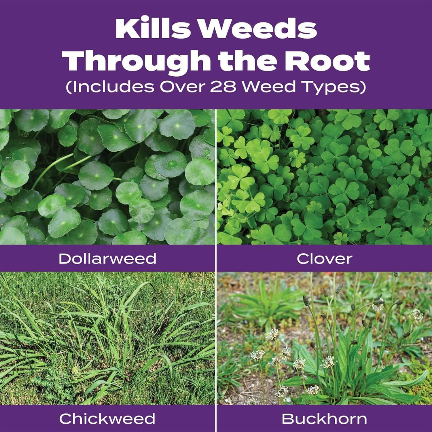 image:imageScotts Turf Builder Bonus S Southern Weed amp Feed2 Weed Killer and Lawn Fertilizer Lawn Care 10000 Sq Ft 3448 Ibs10 000 sq ft