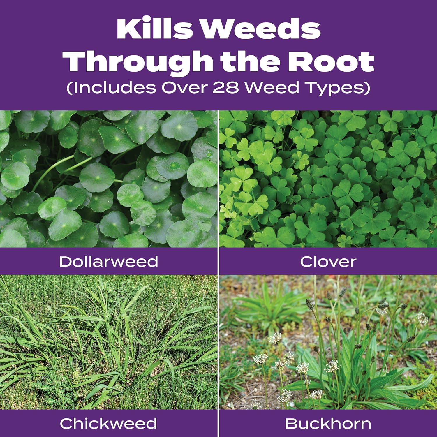 image:imageScotts Turf Builder Bonus S Southern Weed amp Feed2 Weed Killer and Lawn Fertilizer Lawn Care 10000 Sq Ft 3448 Ibs5 000 sq ft