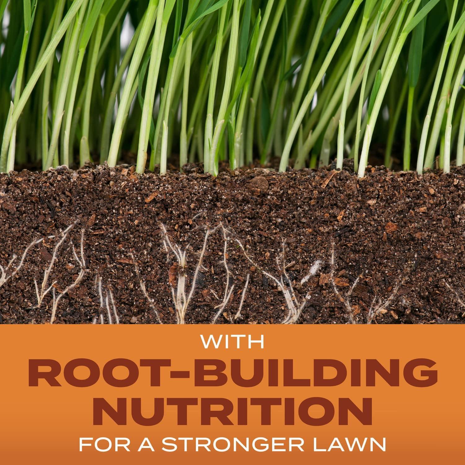 image:imageScotts Turf Builder Grass Seed Bermudagrass with Fertilizer and Soil Improver DroughtTolerant 1 lb1 lb