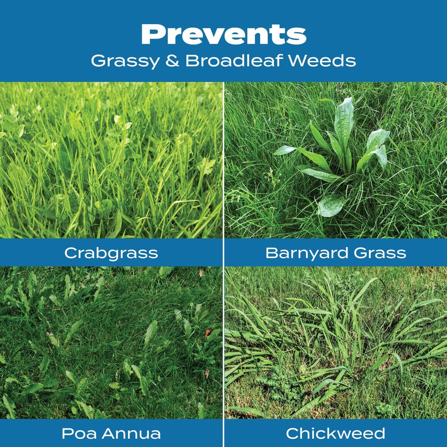 image:imageScotts Turf Builder Halts Crabgrass Preventer with Lawn Food PreEmergent Weed Killer Lawn Fertilizer 5000 sq ft 1335 lb15 000 sq ft