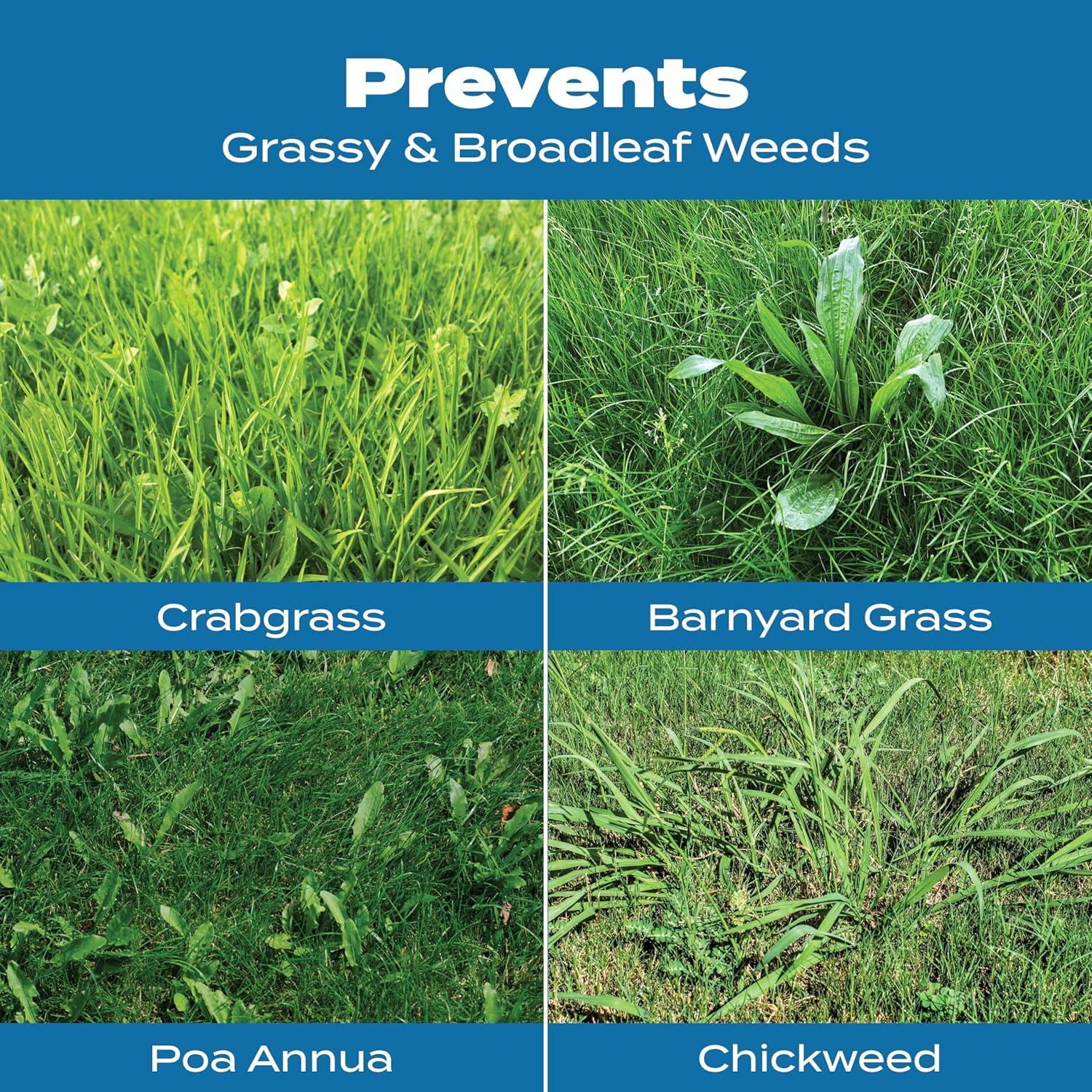 image:imageScotts Turf Builder Halts Crabgrass Preventer with Lawn Food PreEmergent Weed Killer Lawn Fertilizer 5000 sq ft 1335 lb5 000 sq ft 2 Pack