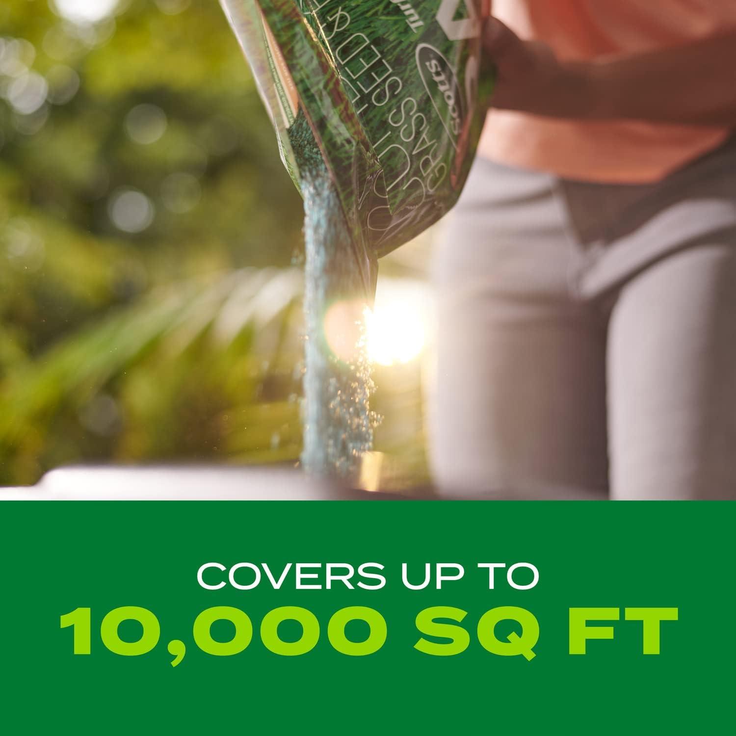 image:imageScotts Turf Builder Rapid Grass Bermudagrass Combination Grass Seed and Fertilizer Grows Full Green Grass 4 lbs8 lb