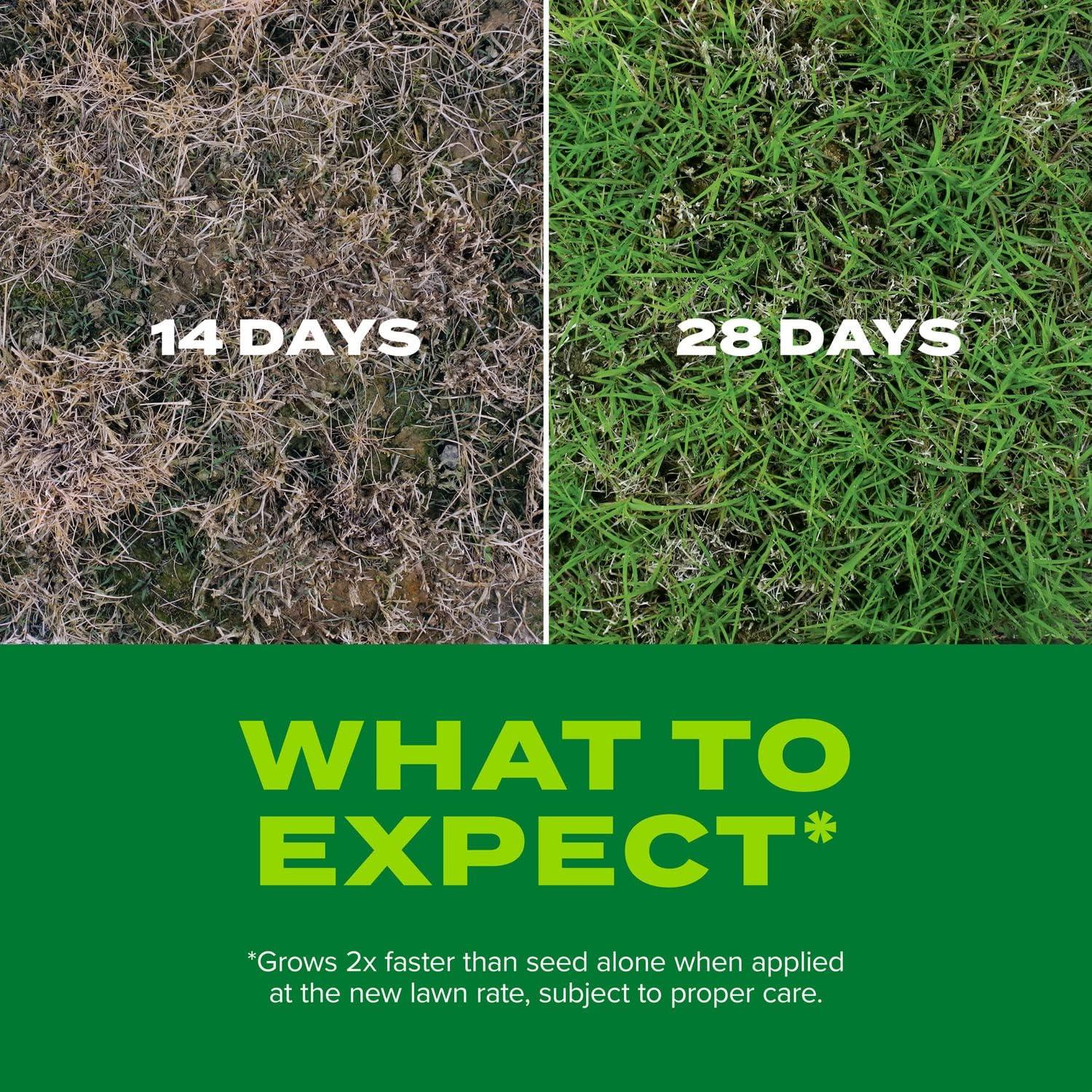 image:imageScotts Turf Builder Rapid Grass Bermudagrass Combination Grass Seed and Fertilizer Grows Full Green Grass 4 lbs8 lb