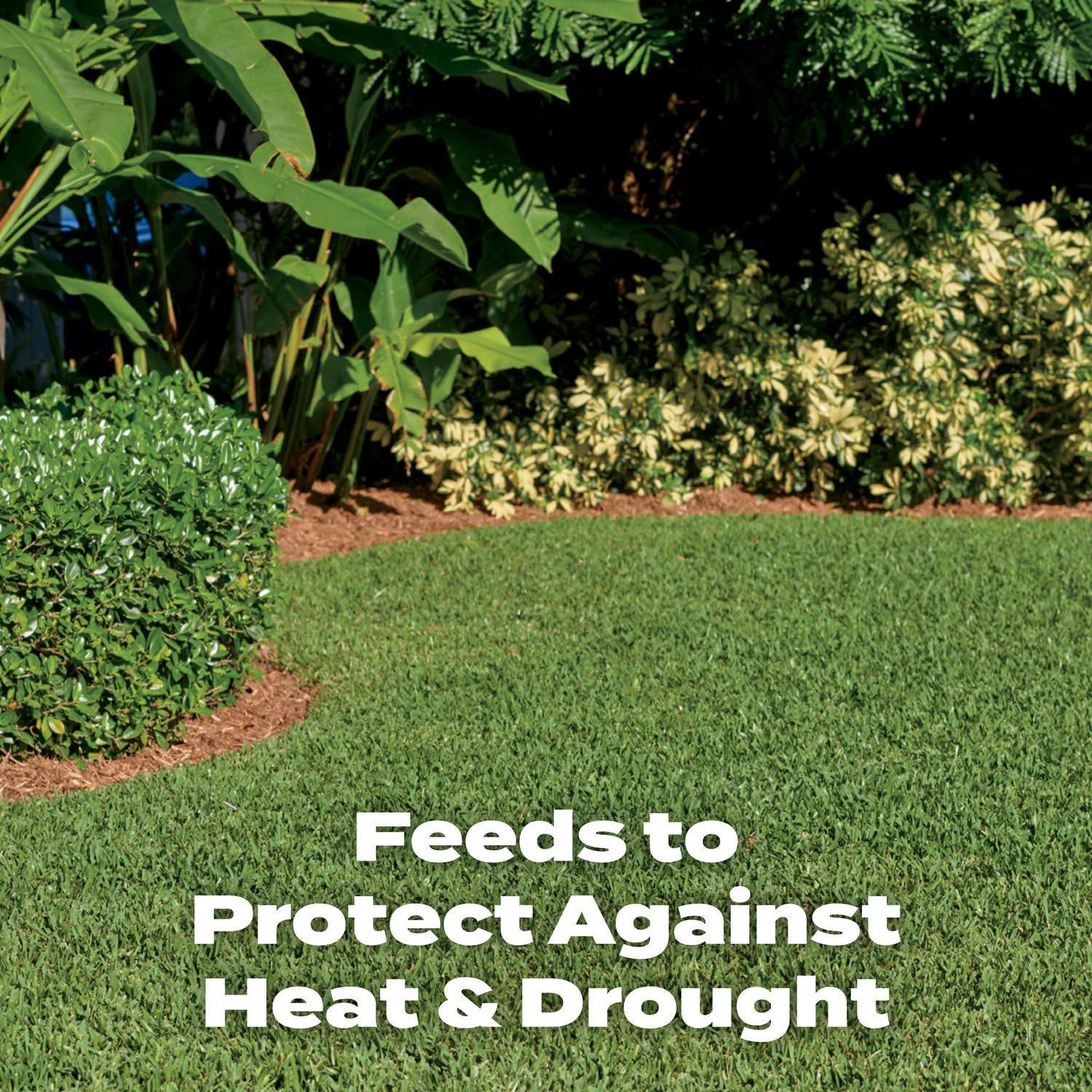 image:imageScotts Turf Builder Southern Lawn Fertilizer for Southern Grass 15000 sq ft 4218 lbs10 000 sq ft