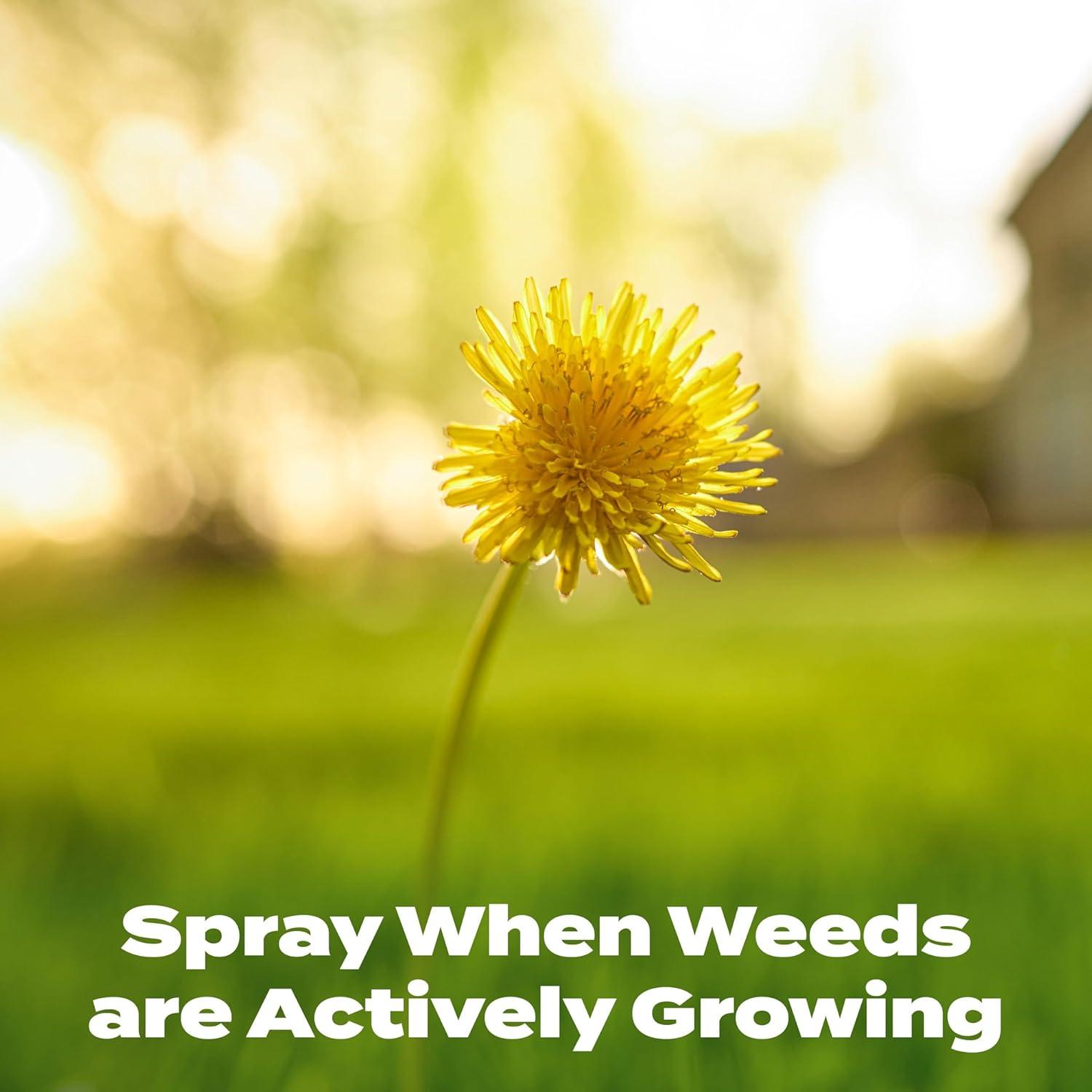 image:imageScotts Turf Builder Weed and Feed3 Weed Killer Plus Lawn Fertilizer Controls Dandelion and Clover Grass Fertilizer For Up To 15000 sq ft 4287 lbsLiquid 32 fl oz
