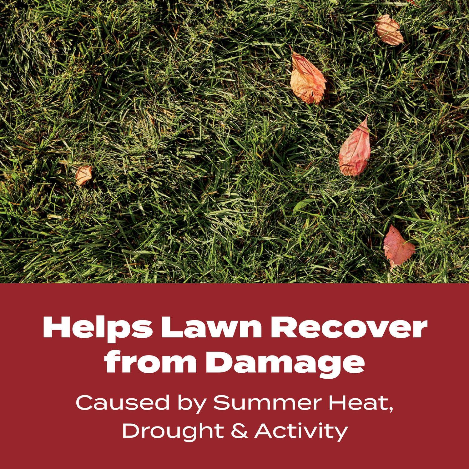 image:imageScotts Turf Builder WinterGuard Fall Lawn Fertilizer for All Grass Types 5000 sq ft 125 lbs4 000 sq ft