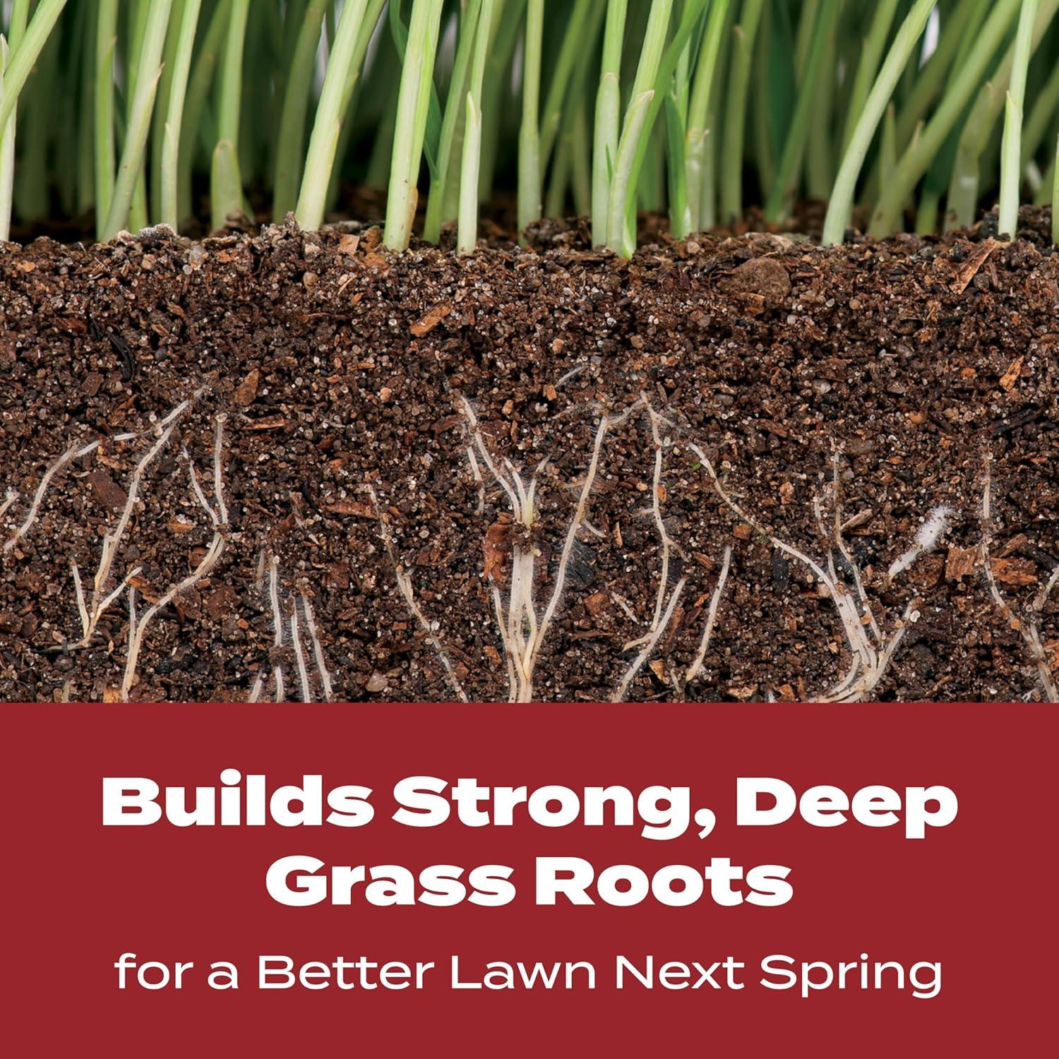 image:imageScotts Turf Builder WinterGuard Fall Lawn Fertilizer for All Grass Types 5000 sq ft 125 lbs5 000 sq ft