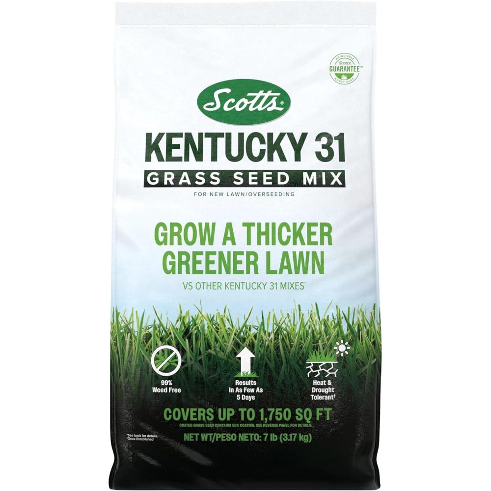 image:imageScotts Kentucky 31 Grass Seed Mix for New Lawns or Overseeding  Lawn Grass Seed That Grows Thicker and Greener vs Other Kentucky 31 Mixes Covers up to 5000 sq ft7 lb