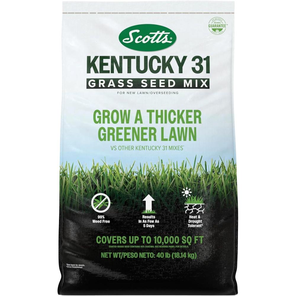 image:imageScotts Kentucky 31 Grass Seed Mix for New Lawns or Overseeding  Lawn Grass Seed That Grows Thicker and Greener vs Other Kentucky 31 Mixes Covers up to 5000 sq ft40 lb