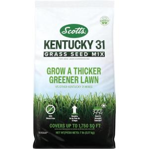 Scotts Kentucky 31 Grass Seed Mix for New Lawns or Overseeding – Lawn Grass Seed That Grows Thicker and Greener vs. Other Kentucky 31 Mixes, Covers up to 5,000 sq. ft.(7 lb)