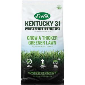 Scotts Kentucky 31 Grass Seed Mix for New Lawns or Overseeding – Lawn Grass Seed That Grows Thicker and Greener vs. Other Kentucky 31 Mixes, Covers up to 5,000 sq. ft.(20 lb)