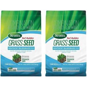 Scotts Turf Builder Grass Seed Kentucky Bluegrass Mix with Fertilizer and Soil Improver, Grows Dense, Green Turf, 5.6 lbs.(2.4 lb. (Pack of 2))