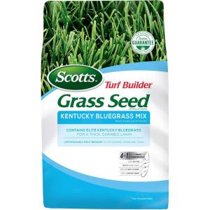Scotts Turf Builder Grass Seed Kentucky Bluegrass Mix with Fertilizer and Soil Improver, Grows Dense, Green Turf, 5.6 lbs.(7 lb.)