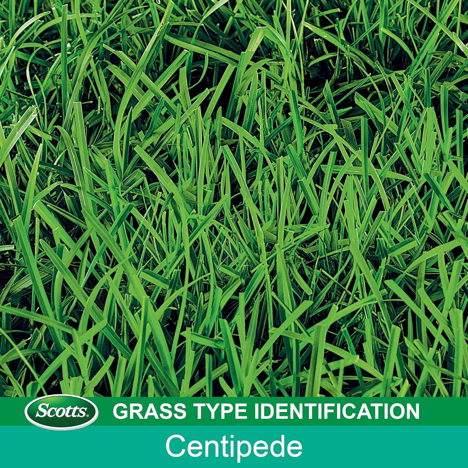 image:imageScotts Turf Builder Centipede Grass Seed amp Mulch Grows a Thick LowMaintenance Lawn 5 lbs2 000 sq ft