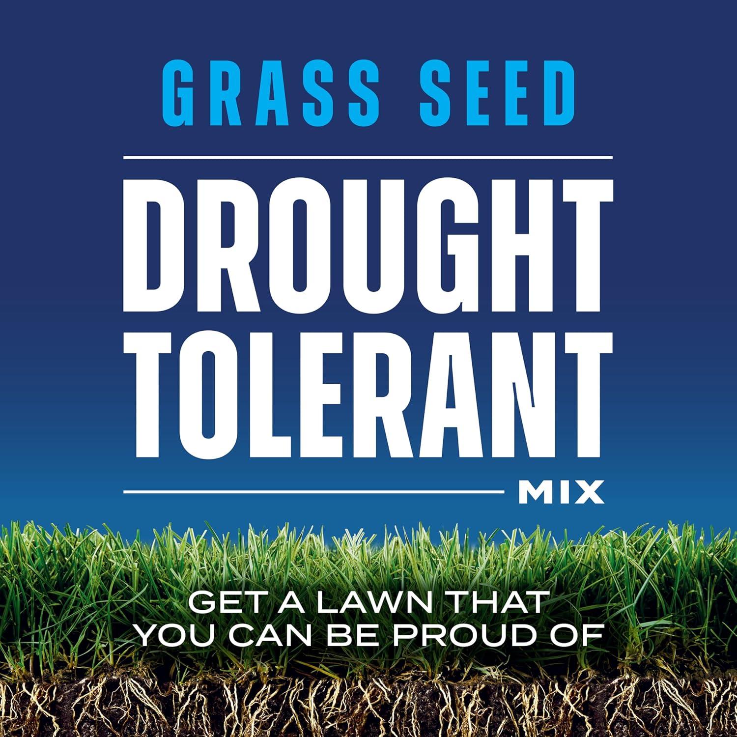 image:imageScotts Grass Seed Drought Tolerant Mix Kentucky Bluegrass and Tall Fescue Grass Seed Mix Covers up to 5000 sq ft 10 lb10 lb