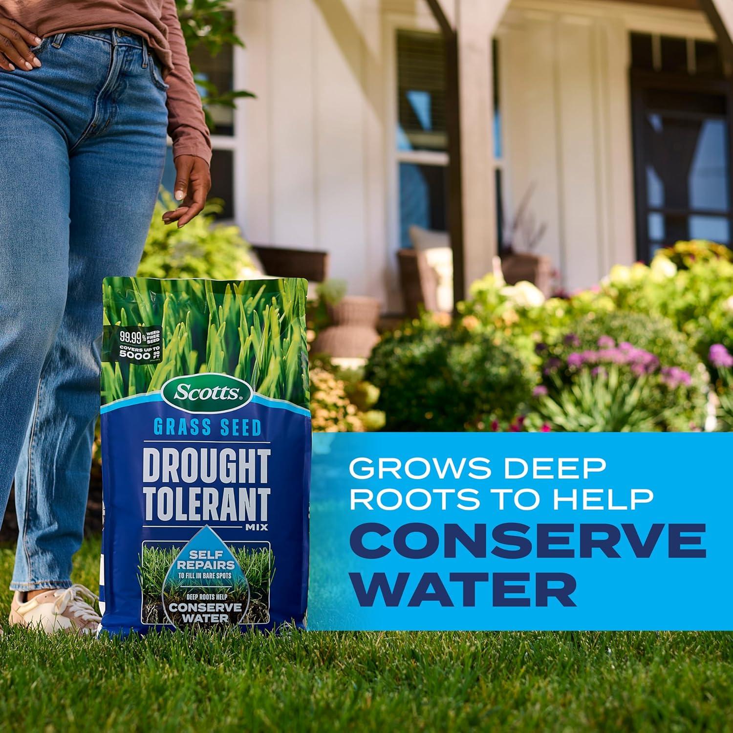 image:imageScotts Grass Seed Drought Tolerant Mix Kentucky Bluegrass and Tall Fescue Grass Seed Mix Covers up to 5000 sq ft 10 lb10 lb