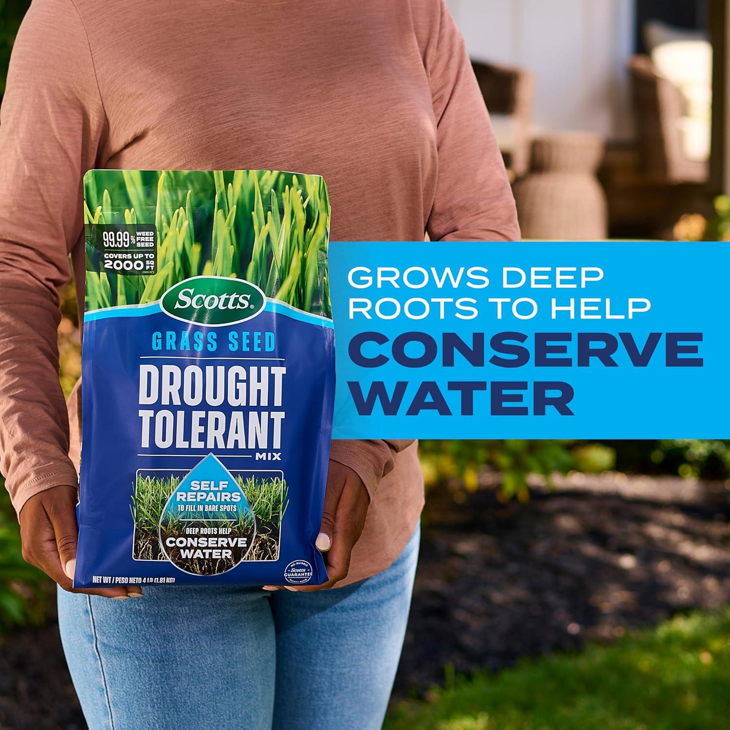 image:imageScotts Grass Seed Drought Tolerant Mix Kentucky Bluegrass and Tall Fescue Grass Seed Mix Covers up to 5000 sq ft 10 lb4 lb