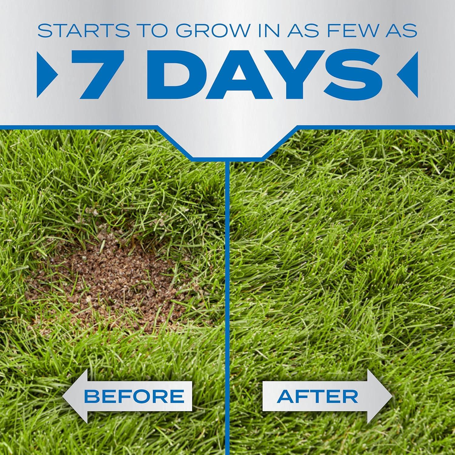image:imageScotts PatchMaster Lawn Repair Mix Sun Shade Mix Combination Grass Seed Fertilizer and Mulch 475 lbs475 lb