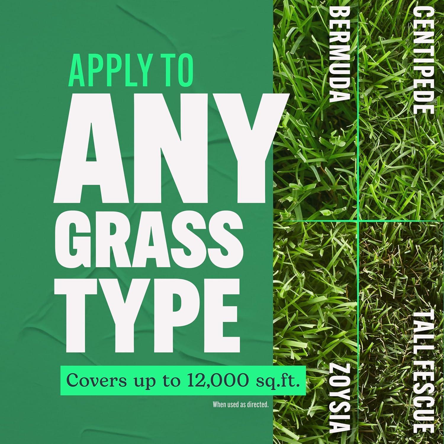 image:imageScotts Turf Builder Lawn Food 379 lbs 3804 Granular Fertilizer for All Grass Types Covers up to 12000 sq ft