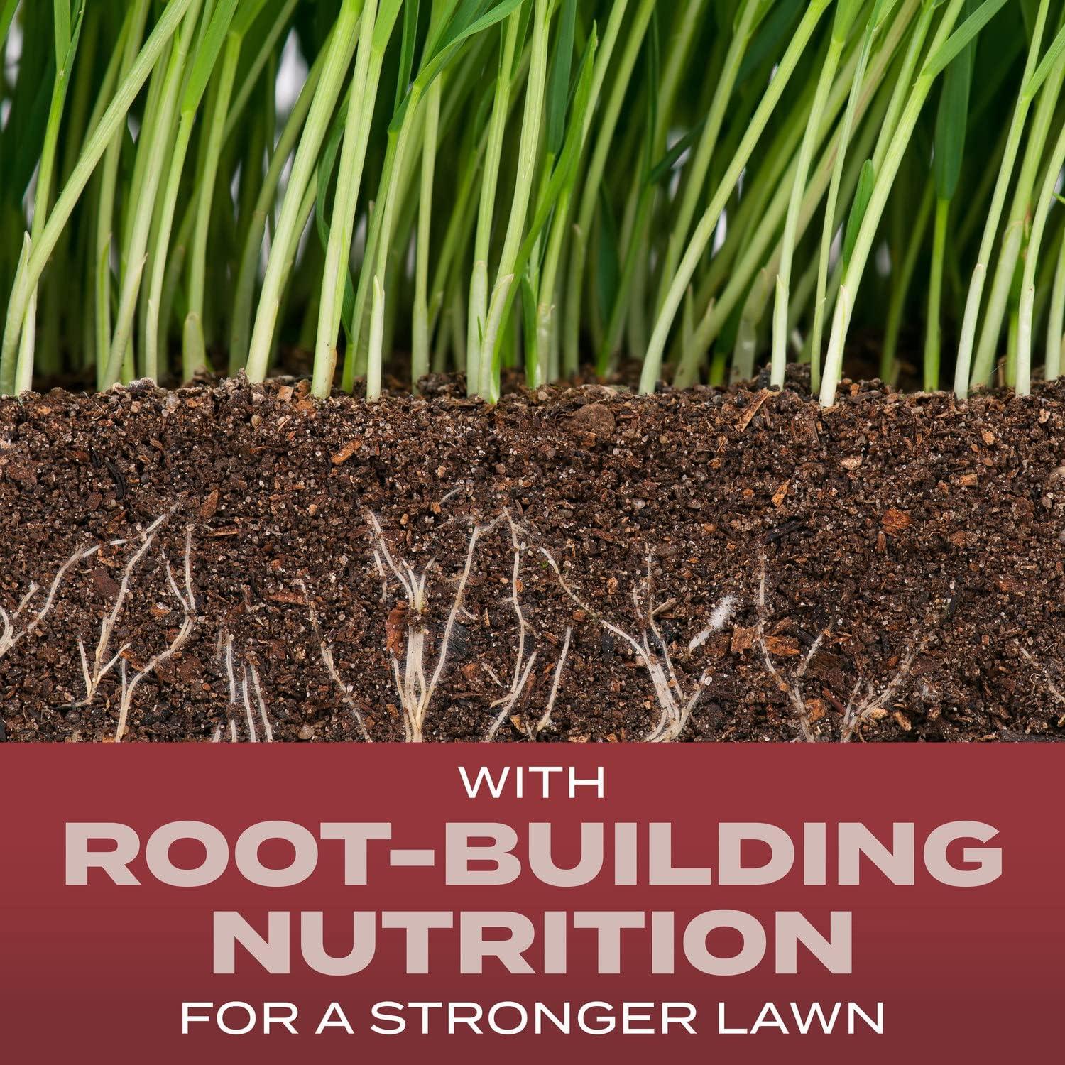 image:imageScotts Turf Builder Grass Seed Sunny Mix with Fertilizer and Soil Improver Thrives in Direct Sun 24 lbs24 lb